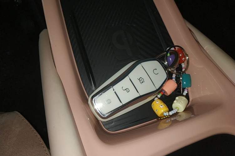 Used BYD Seagull 2024 Honor Edition 405km Flying Version Vehicle Key