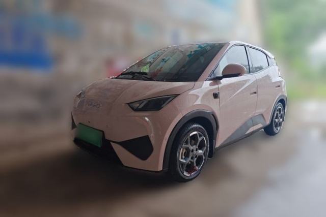 Used BYD Seagull 2025 Smart Drive Version 305 km Freedom Edition