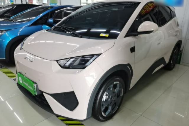 Used BYD Seagull 2025 Smart Drive Version 305 km Freedom Edition