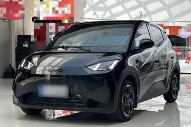 Used BYD Seagull 2025 Smart Drive Version 305 km Freedom Edition