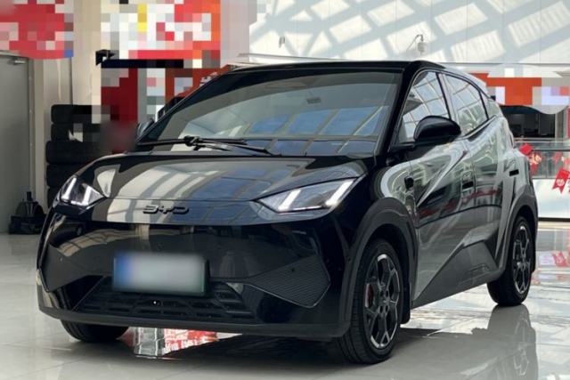 Used BYD Seagull 2025 Smart Drive Version 305 km Freedom Edition