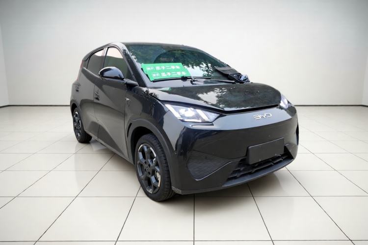 Used BYD Seagull 2025 Smart Drive Version 305 km Freedom Edition Exterior 2