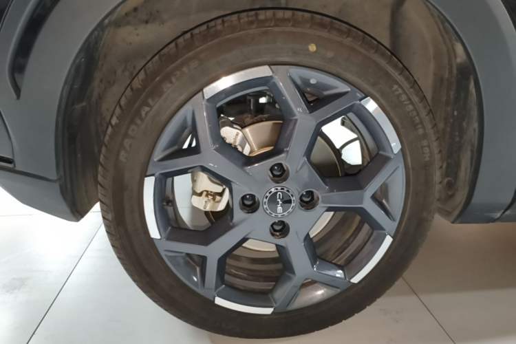 Used BYD Seagull 2025 305 km Free Version Exterior 5