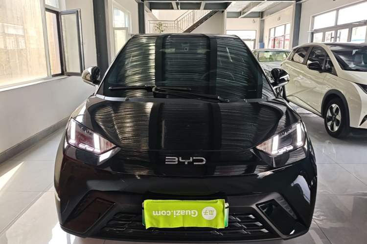 Used BYD Seagull 2025 305 km Free Version Front