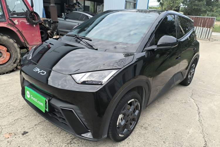 BYD Seagull 2025 305 km Free Version