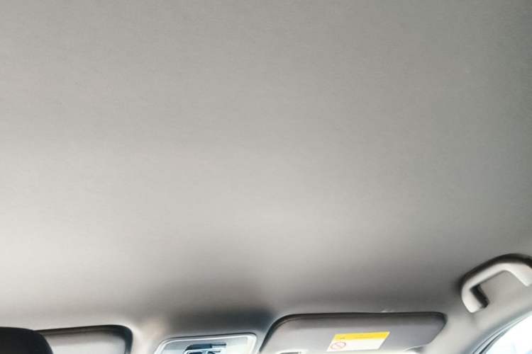 Used BYD Seagull 2025 Smart Drive Version 305 km Freedom Edition Headliner