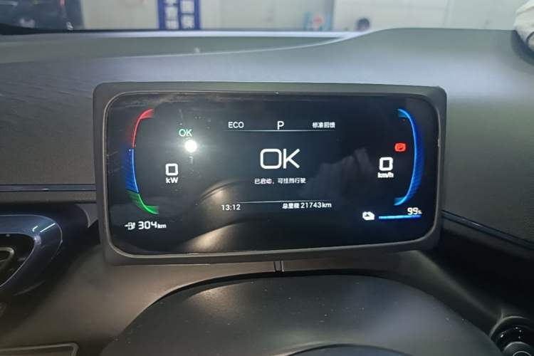 Used BYD Seagull 2025 305km Active Version Instrument Cluster