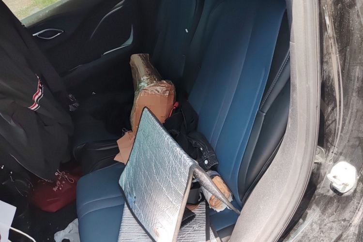 Used BYD Seagull 2025 405 km Flying Edition Left Rear Seat