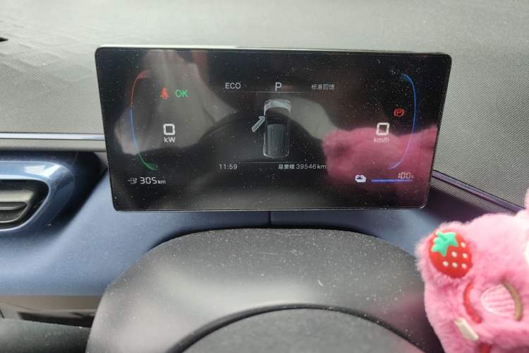 Used BYD Seagull 2025 305km Active Version Odometer Close Up