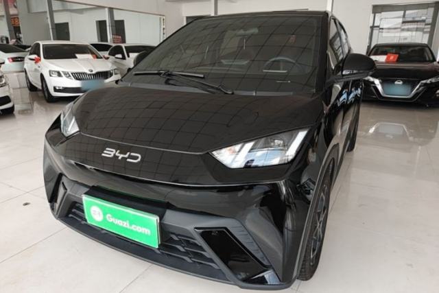 Used BYD Seagull 2025 305 km Free Version