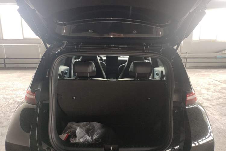 Used BYD Seagull 2025 305 km Free Version Rear
