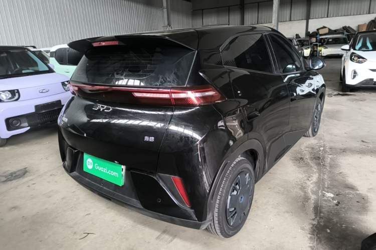 Used BYD Seagull 2025 Intelligent Driving Version 305 km Dynamic Edition Rear Right 45 Deg