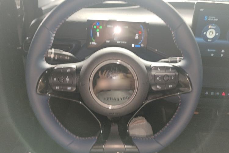 Used BYD Seagull 2025 305 km Free Version Steering Wheel