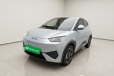 Used BYD Seagull 2025 Model Smart Drive Version 405km Free-Spirited Version