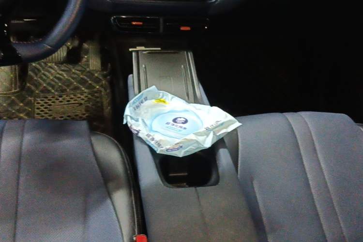 Used BYD Seagull 2025 305 km Free Version Gear Lever