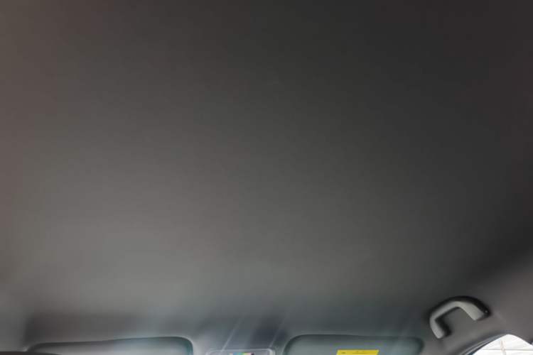 Used BYD Seagull 2025 Intelligent Driving Version 305 km Dynamic Edition Headliner
