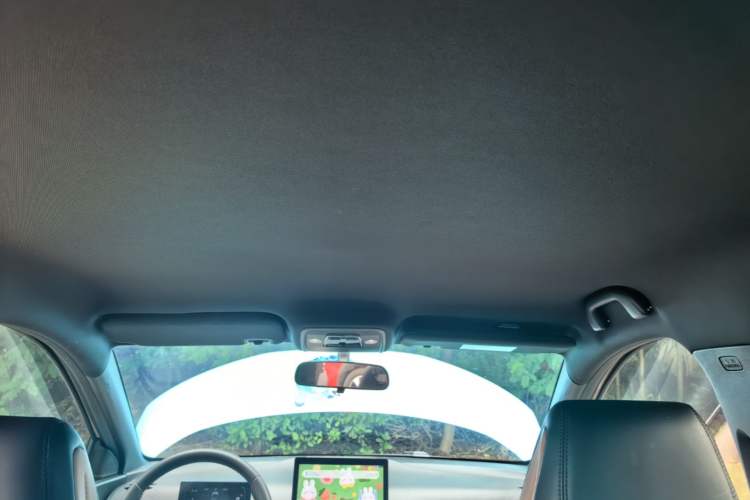 Used BYD Seagull 2025 305 km Free Version Headliner