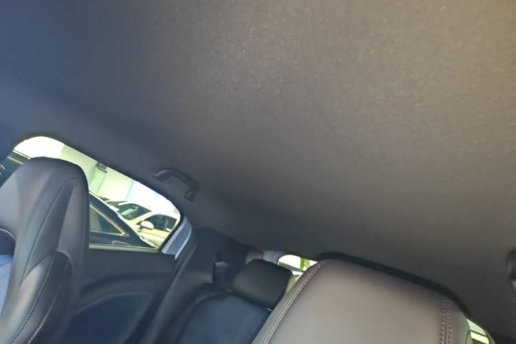 Used BYD Seagull 2025 Intelligent Driving Version 305 km Dynamic Edition Headliner