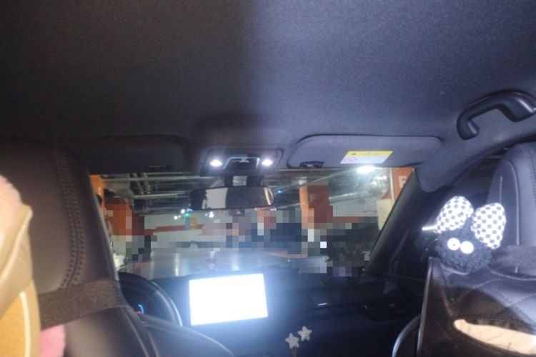 Used BYD Seagull 2025 305km Active Version Headliner