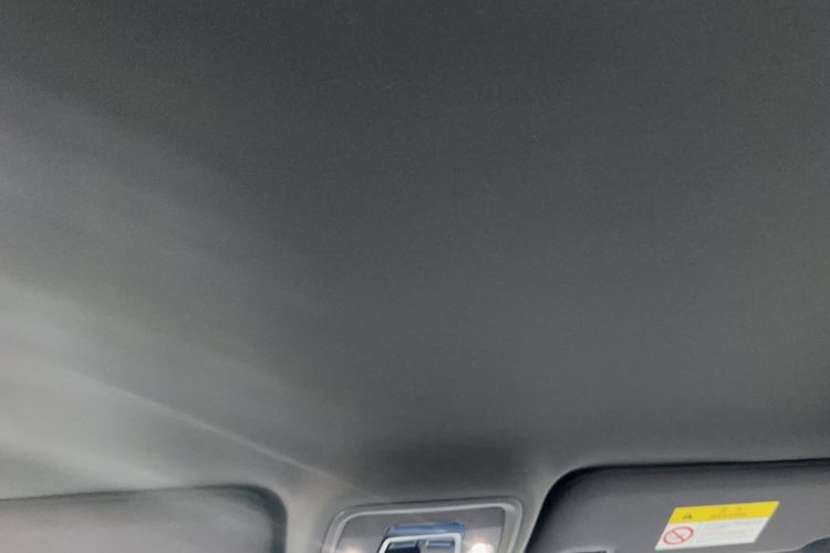 Used BYD Seagull 2025 Intelligent Driving Version 305 km Dynamic Edition Headliner