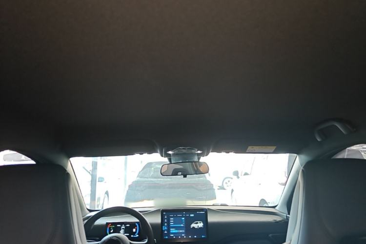 Used BYD Seagull 2025 Intelligent Driving Version 305 km Dynamic Edition Headliner