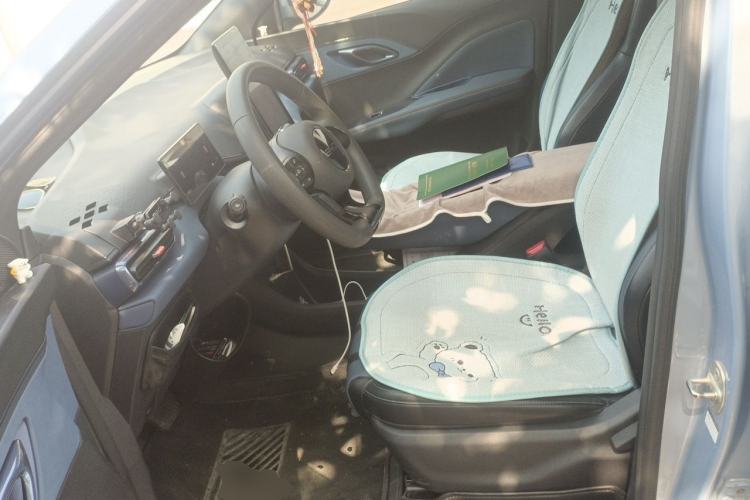 Used BYD Seagull 2025 305km Active Version Left Front Seat