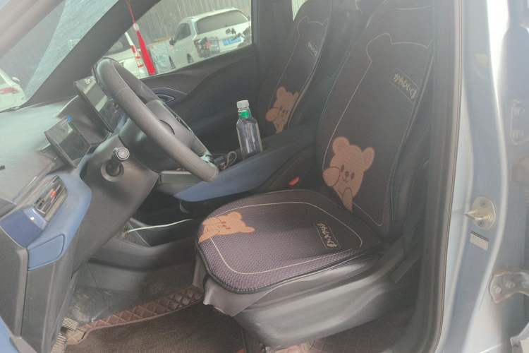 Used BYD Seagull 2025 305km Active Version Left Front Seat