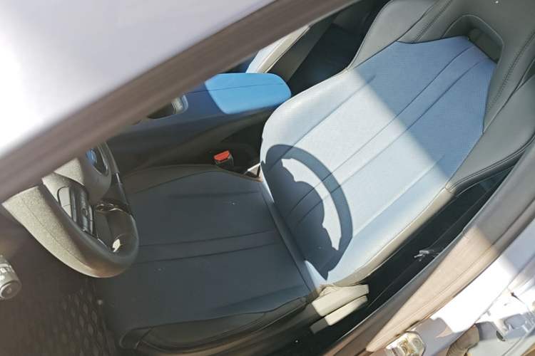 Used BYD Seagull 2025 305km Active Version Left Front Seat