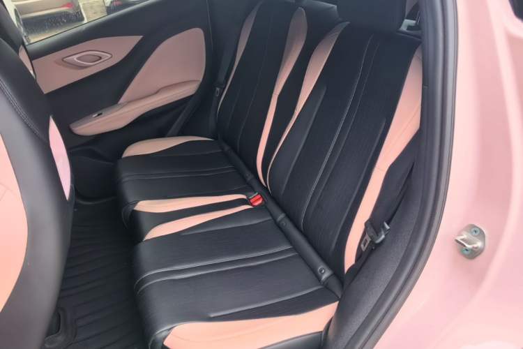 Used BYD Seagull 2025 305 km Free Version Left Rear Seat