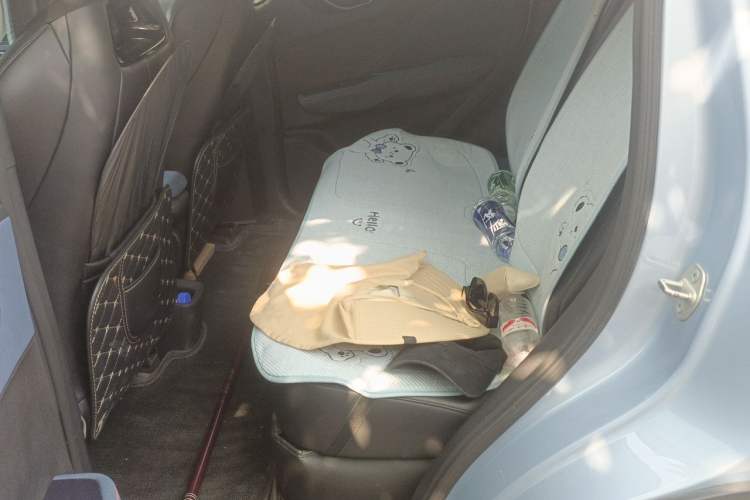 Used BYD Seagull 2025 305km Active Version Left Rear Seat