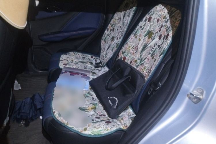 Used BYD Seagull 2025 305km Active Version Left Rear Seat