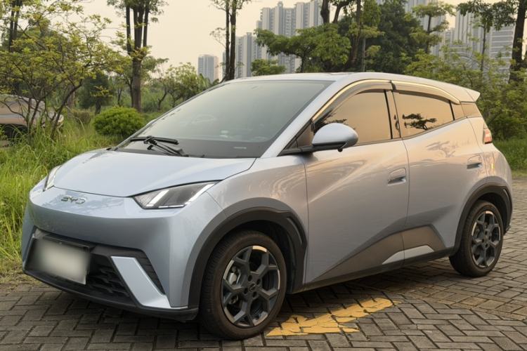 BYD Seagull 2025 305 km Free Version