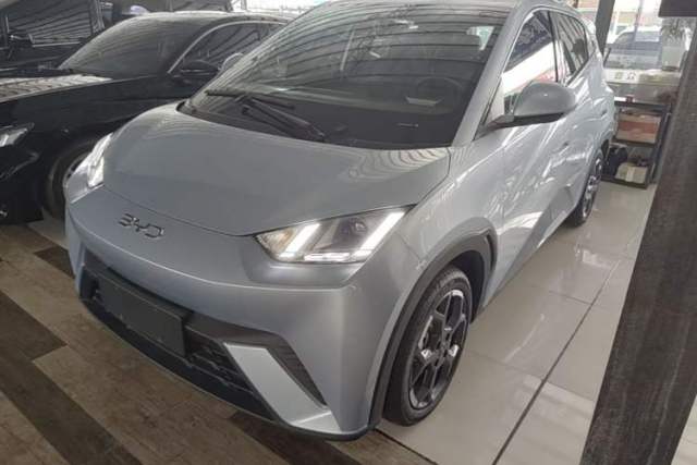 BYD Seagull 2025 305 km Free Version de segunda mano