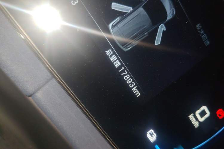 Used BYD Seagull 2025 305 km Free Version Odometer Close Up