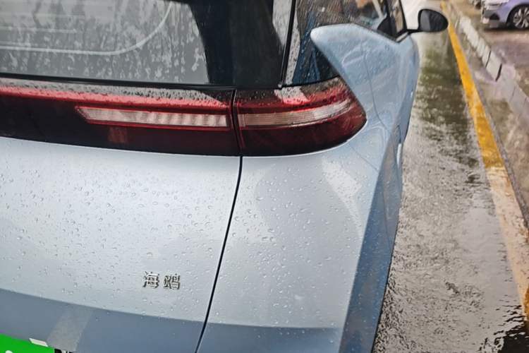 Used BYD Seagull 2025 305km Active Version Right Rear Taillight