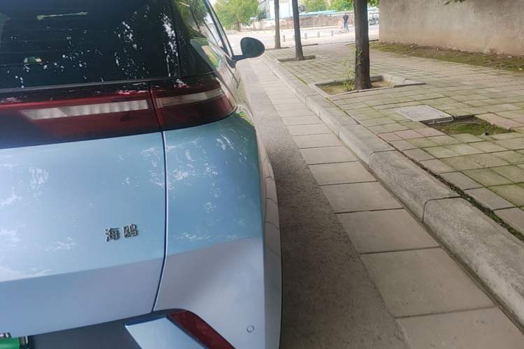 Used BYD Seagull 2025 305km Active Version Right Rear Taillight
