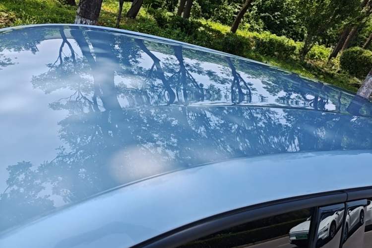 Used BYD Seagull 2025 305 km Free Version Roof