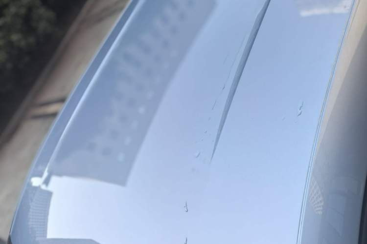 Used BYD Seagull 2025 305 km Free Version Roof