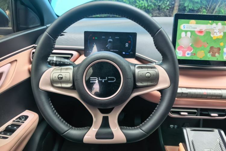 Used BYD Seagull 2025 305 km Free Version Steering Wheel