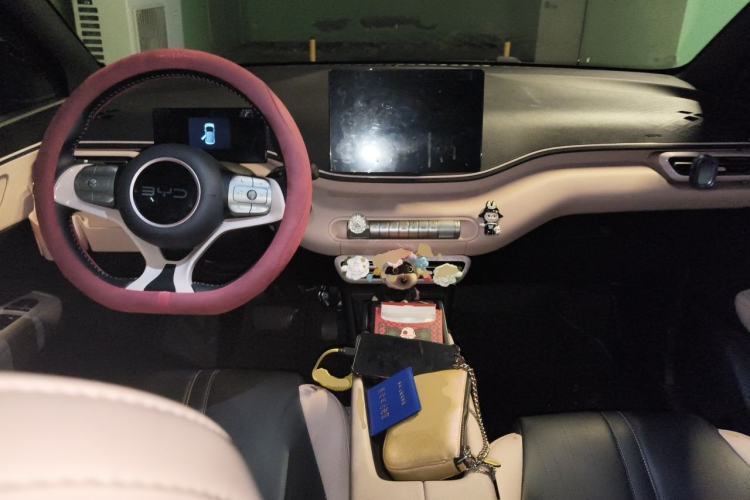 Used BYD Seagull 2025 305 km Free Version Center Console