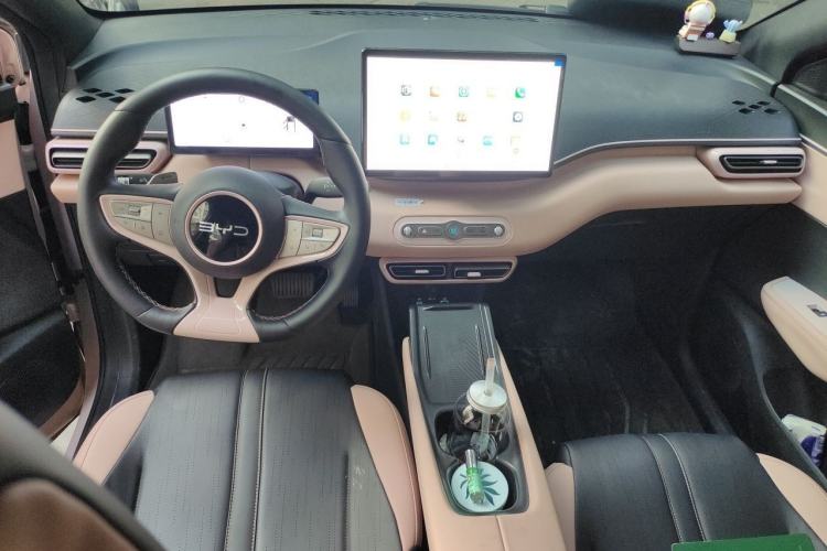 Used BYD Seagull 2025 305 km Free Version Center Console