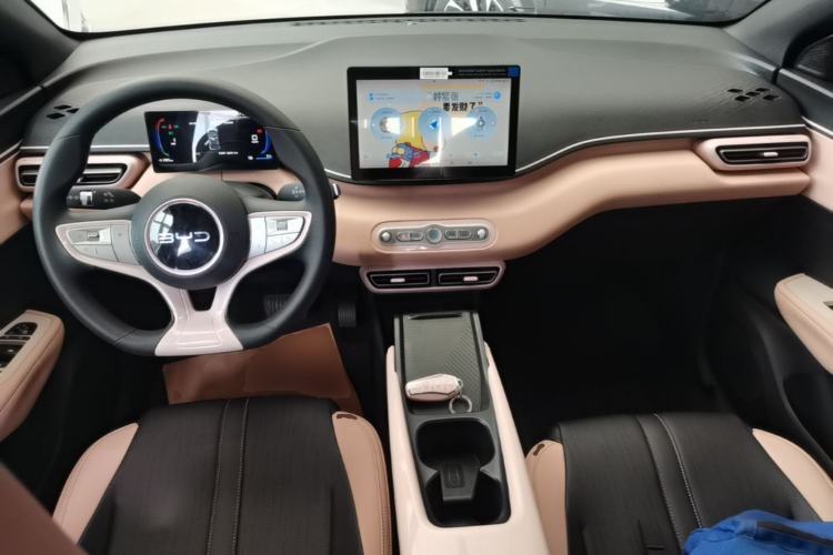 Used BYD Seagull 2025 305km Active Version Center Console