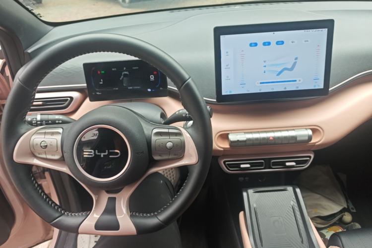 Used BYD Seagull 2025 305 km Free Version Center Console