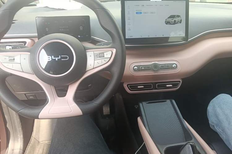 Used BYD Seagull 2025 Intelligent Driving Version 305 km Dynamic Edition Center Console