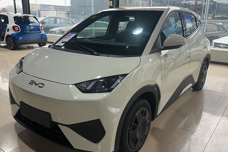 Used BYD Seagull 2025 Intelligent Driving Version 305 km Dynamic Edition Exterior 1