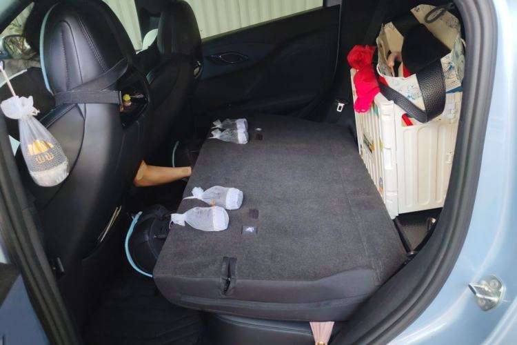 Used BYD Seagull 2025 305 km Free Version Left Rear Seat