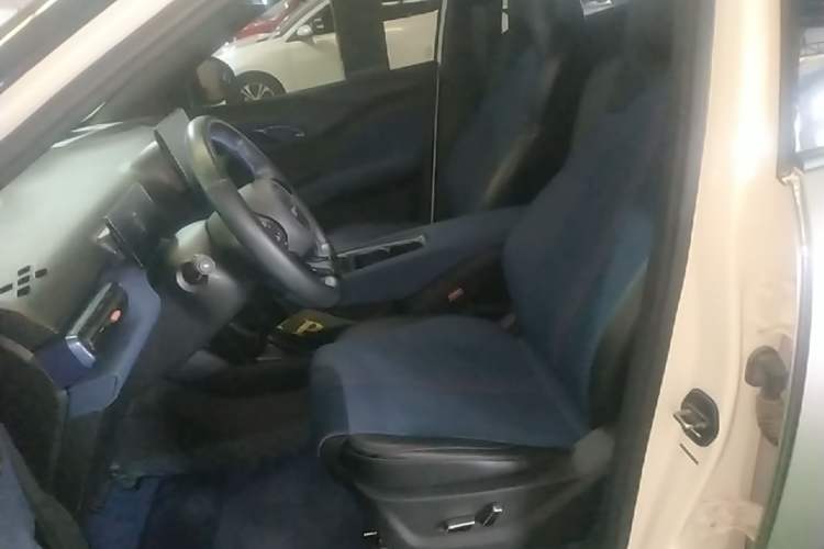 Used BYD Seagull 2025 305 km Free Version Left Front Seat