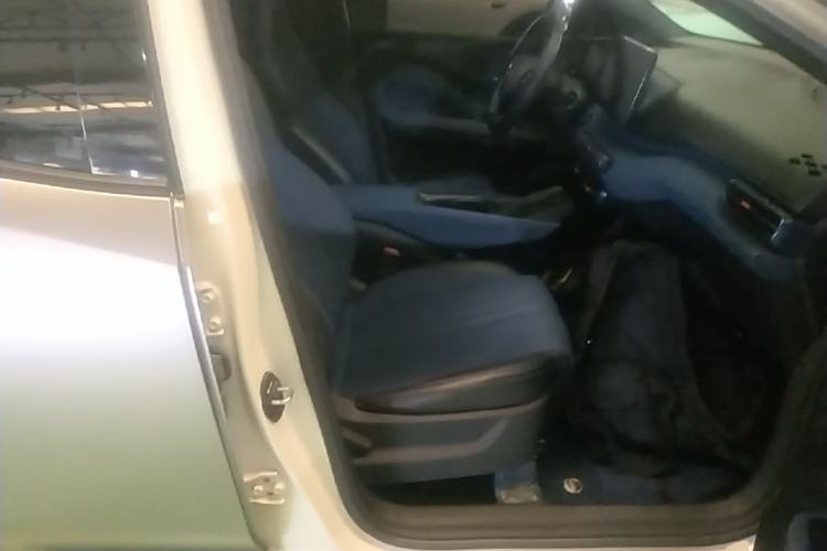 Used BYD Seagull 2025 305 km Free Version Right Front Seat