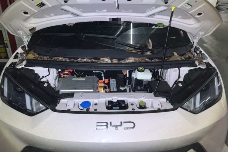 Used BYD Seagull 2025 305 km Free Version Engine Bay