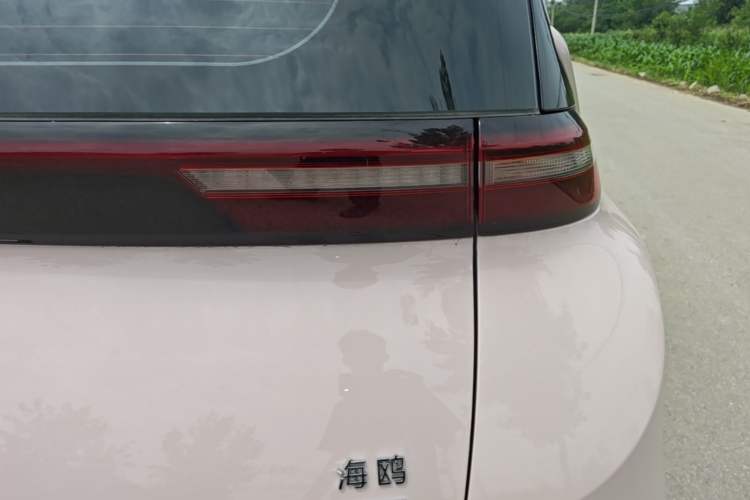 Used BYD Seagull 2025 Smart Drive Version 305 km Freedom Edition Exterior 3